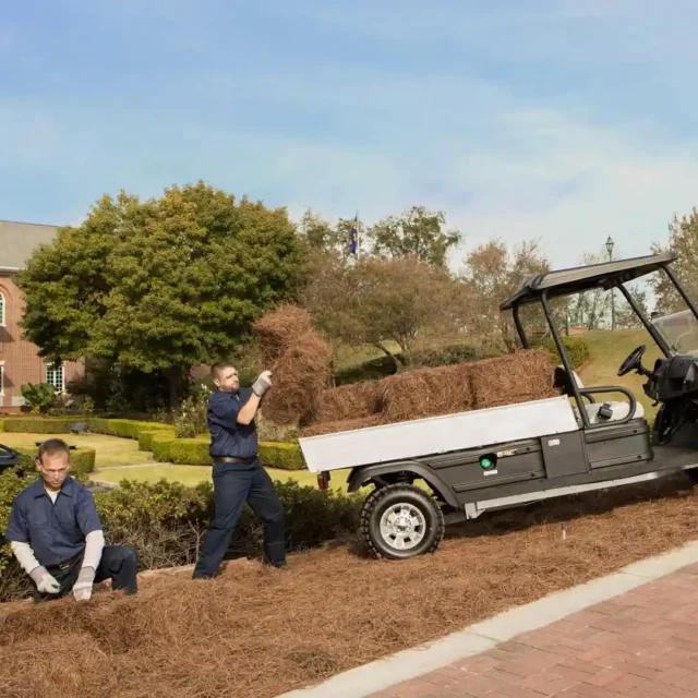 Club Car Carryall 1500 golf cart