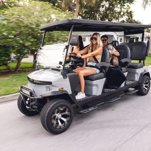 Denago Rover XXL golf cart