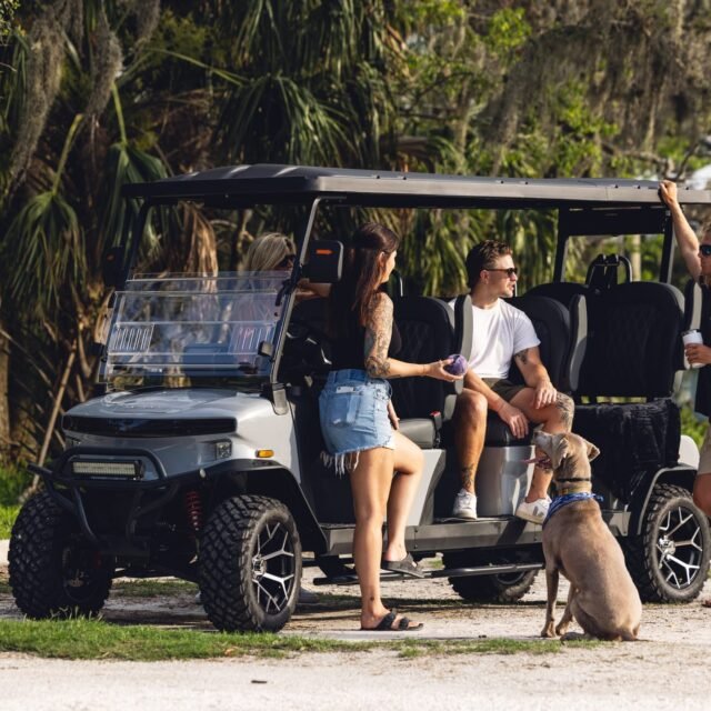 Denago Rover XXL golf cart