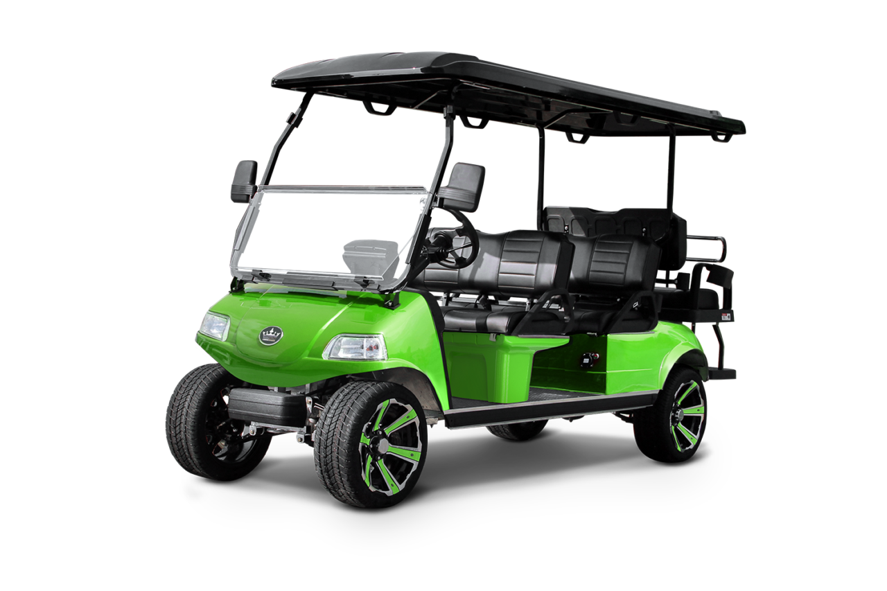 Evolution Carrier 6 Plus golf cart