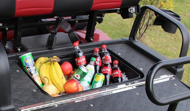 Evolution Classic 4 Plus golf cart — detail view