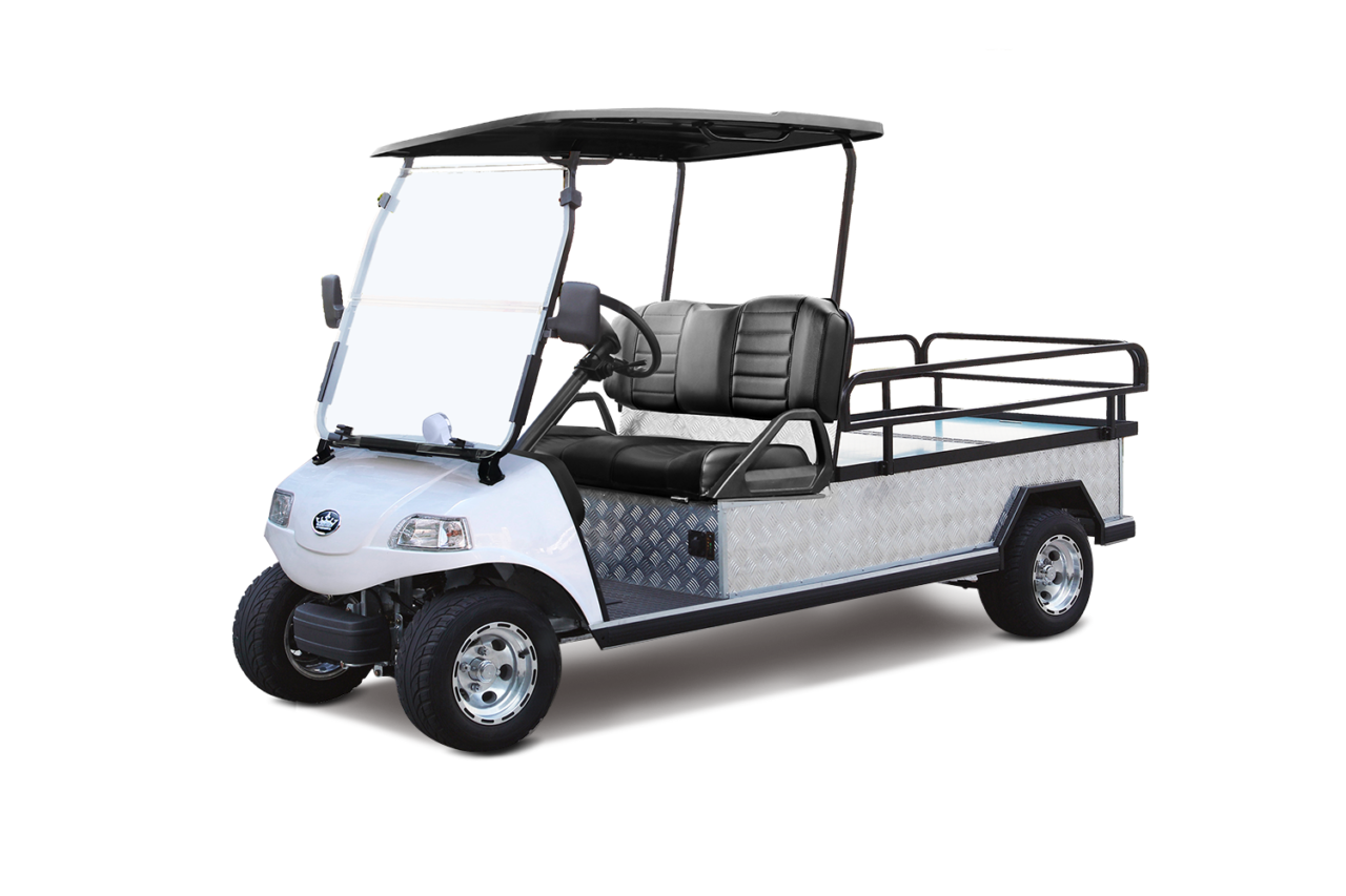 Evolution Turfman 1000 golf cart