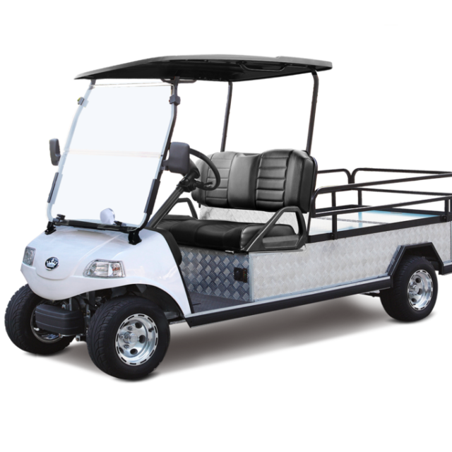 Evolution Turfman 1000 golf cart