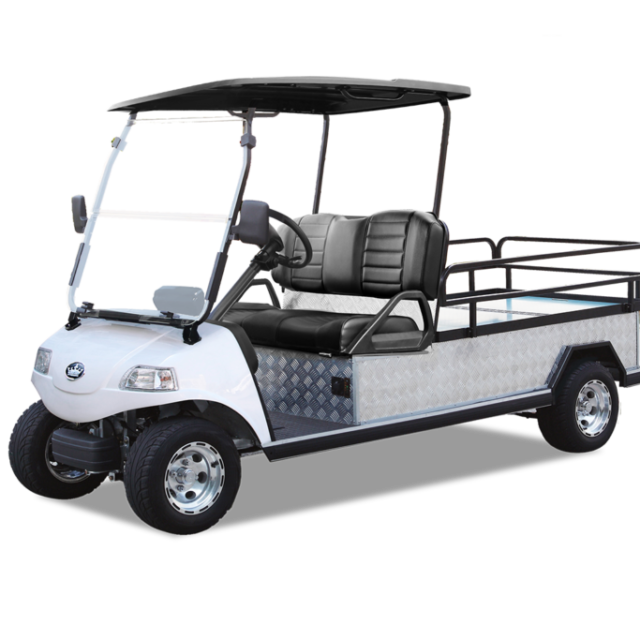 Evolution Turfman 1000 golf cart