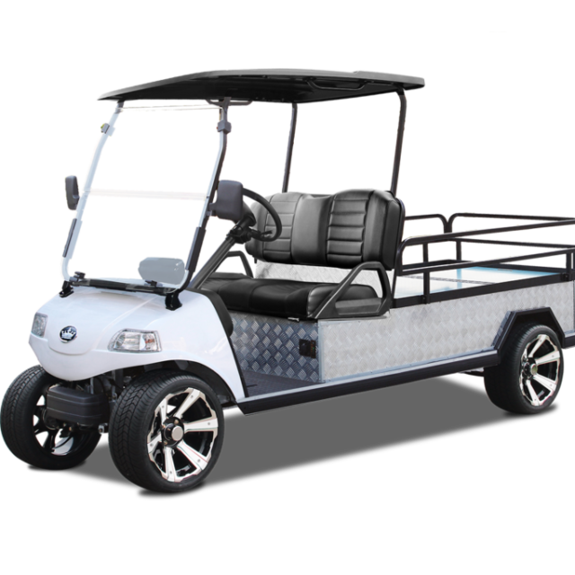 Evolution Turfman 1000 golf cart