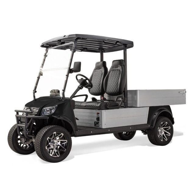 Massimo MVR Cargo Max golf cart